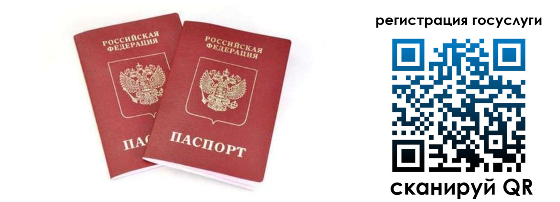 прописка в квартире в Истре